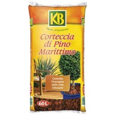 CORTECCIA DI PINO MARITTIMO