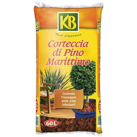 Corteccia pino marittimo - corteccia, di
