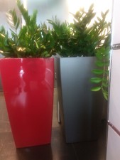 Vasi da Esterno e da Interno Usati come nuovi