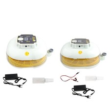 22 Incubatore di uova con