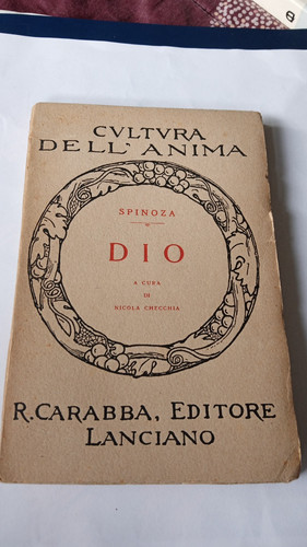 Dio baruch spinoza - dio,