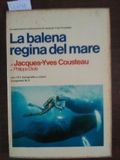 Balena regina del mare - balena,