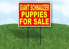 Giant Schnauzer PUPPIES FOR