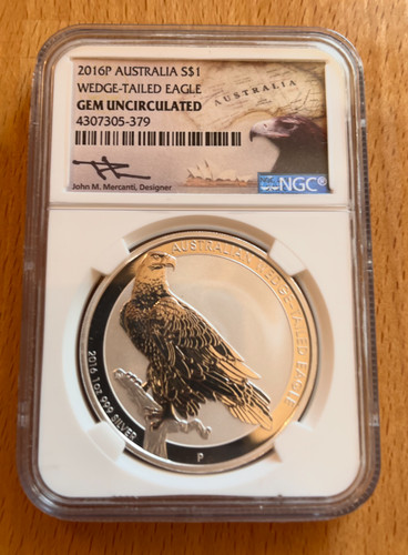 Australia wedge tailed - wedge, eagle
