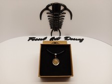 Fossil shell pendente art - shell,
