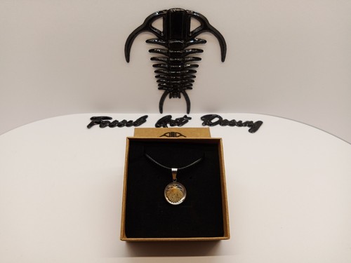 Fossil shell pendente - fossil,