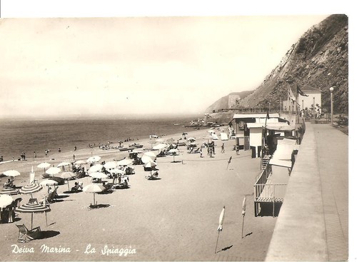 Deiva marina - deiva, (