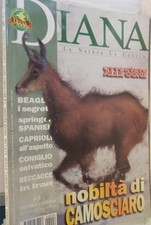 DIANA 6 2000 Coniglio selvatico Gazze cornacchie Springer Spaniel Beccacce di e