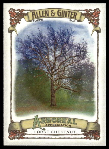 2021 topps allen ginter - allen,