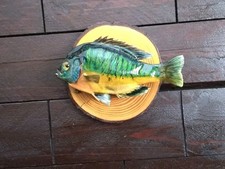 Bluegill Wall Mount – Real