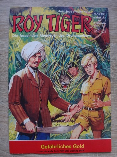 Roy tiger 13 - tiger,