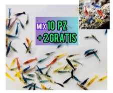 ✅ NEO CARIDINE DAVIDI 10 PZ