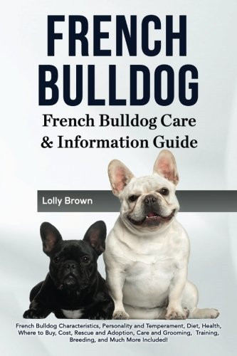 French bulldog - bulldog:,