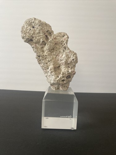Scultura roccia corallo