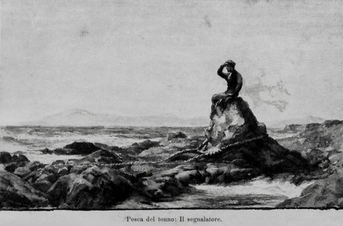 1892 sardegna pesca - 1892=sardegna=pesca, del