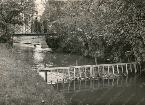1955c udine parco - udine,