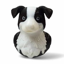Border Collie Duck –