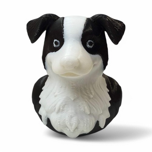 Border collie duck - border,