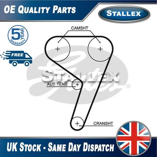 Cinghia distribuzione stallex