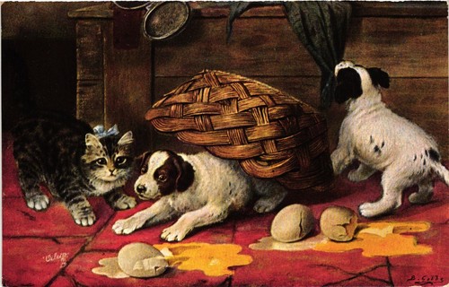 Cani cuccioli cattivi - cani,, e