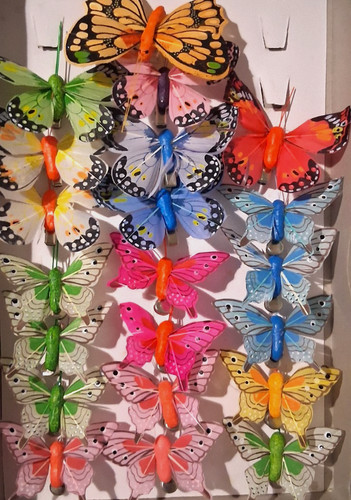 Confezione farfalle - 20,