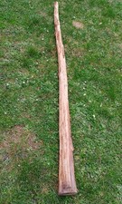 Tronco di Ginepro Lunghezza