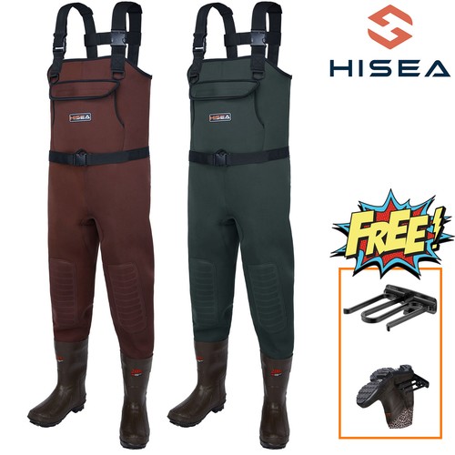 Hisea trampoliera toracica - hisea,
