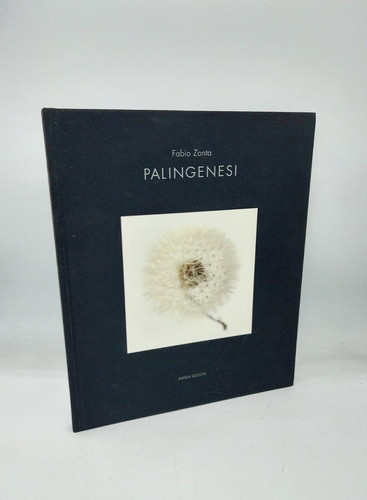 Palingenesi fabio zonta - "palingenesi",