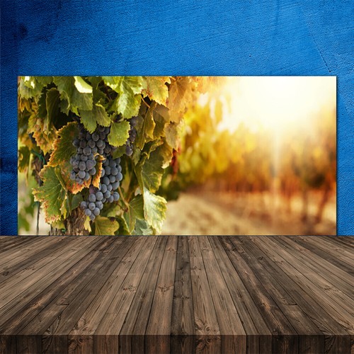 Paraschizzi cucina 120x60 - paraschizzi,