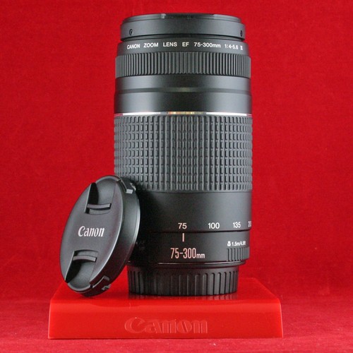 Teleobiettivo canon ef - *teleobiettivo,