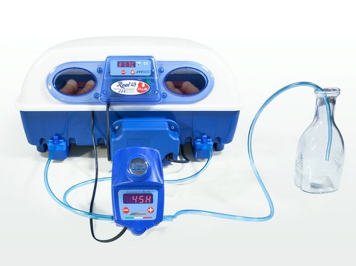 Incubatrice per uova - incubatrice,