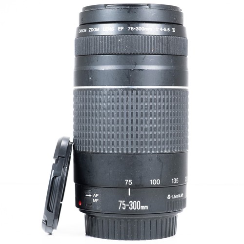 Canon 300 0 - canon, mm