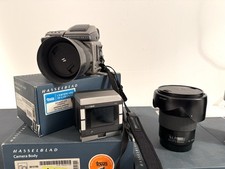 Phase one p65 con - p65+,