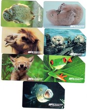 LOTTO 7 SCHEDE TELEFONICHE