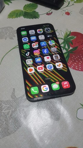 Apple iphone pro max 256 - 12,