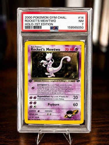 Pokemon tcg sfida palestra - sfida,