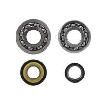 Kit revisione albero motore - kit,