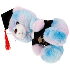  Peluche di orso di peluche di laurea Adorabile bambola di orso di cartone