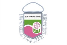 Fanion Mini Bandiera Auto