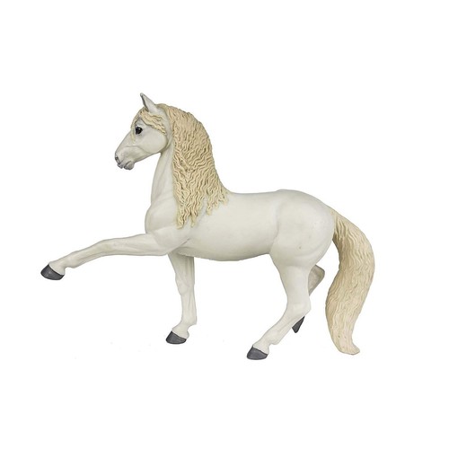 Stallone andaluso winner - stallone, winner's