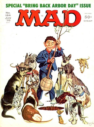 Mad 184 c bassa - mad, e.c