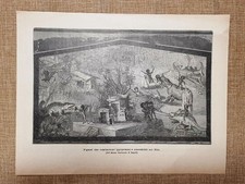 Pigmei che combattono