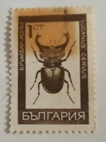 Francobollo bulgaro cervo - francobollo, bulgaro-cervo