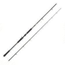 Canna Casting Beast X2 Abu Garcia 40-140gr 2.54mt pesca grandi lucci potente rob