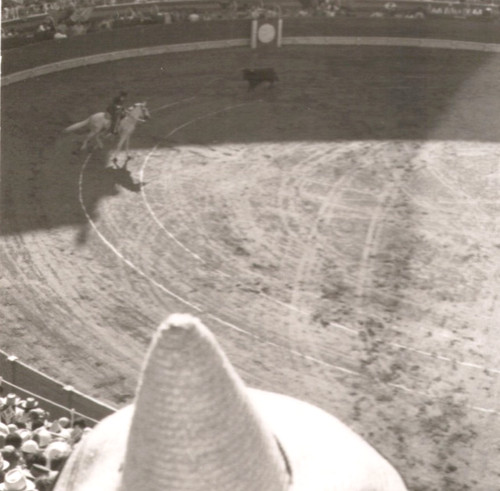 Coliseo balear lotto foto - 2,