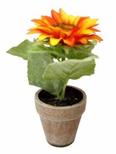 (01448) Artificiale Portavaso