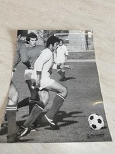 Foto Torino calcio Paolo