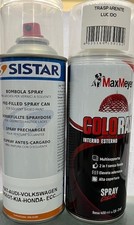 Vernice Spray per Ritocco Auto
