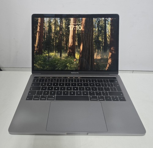Apple macbook pro pollici - 13,