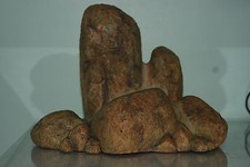 Dettagliato Terrario Roccia